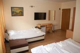 Отель Hotel Vitosha Трявна Большой двухместный номер с 1 кроватью-9