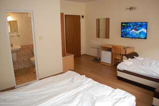 Отель Hotel Vitosha Трявна Большой двухместный номер с 1 кроватью-15